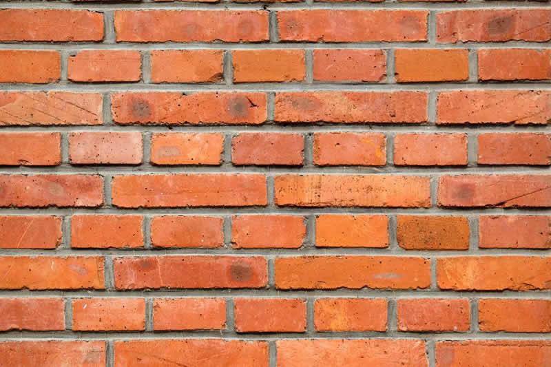 ɹ